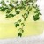 Neptune Beach Green Cleaning by PureClean Home Commercial Pros Cleaning LLC